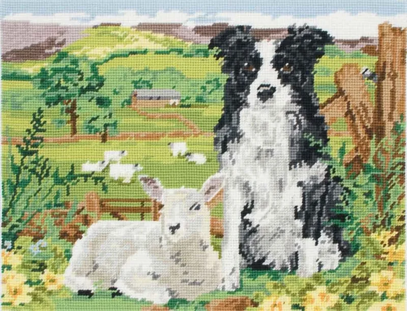 border collie lamb dog treats