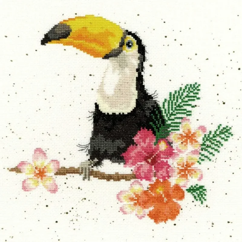 toucan of my affection gift