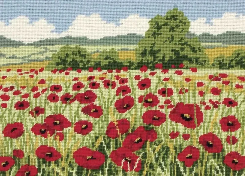 vibrant poppy field canvas